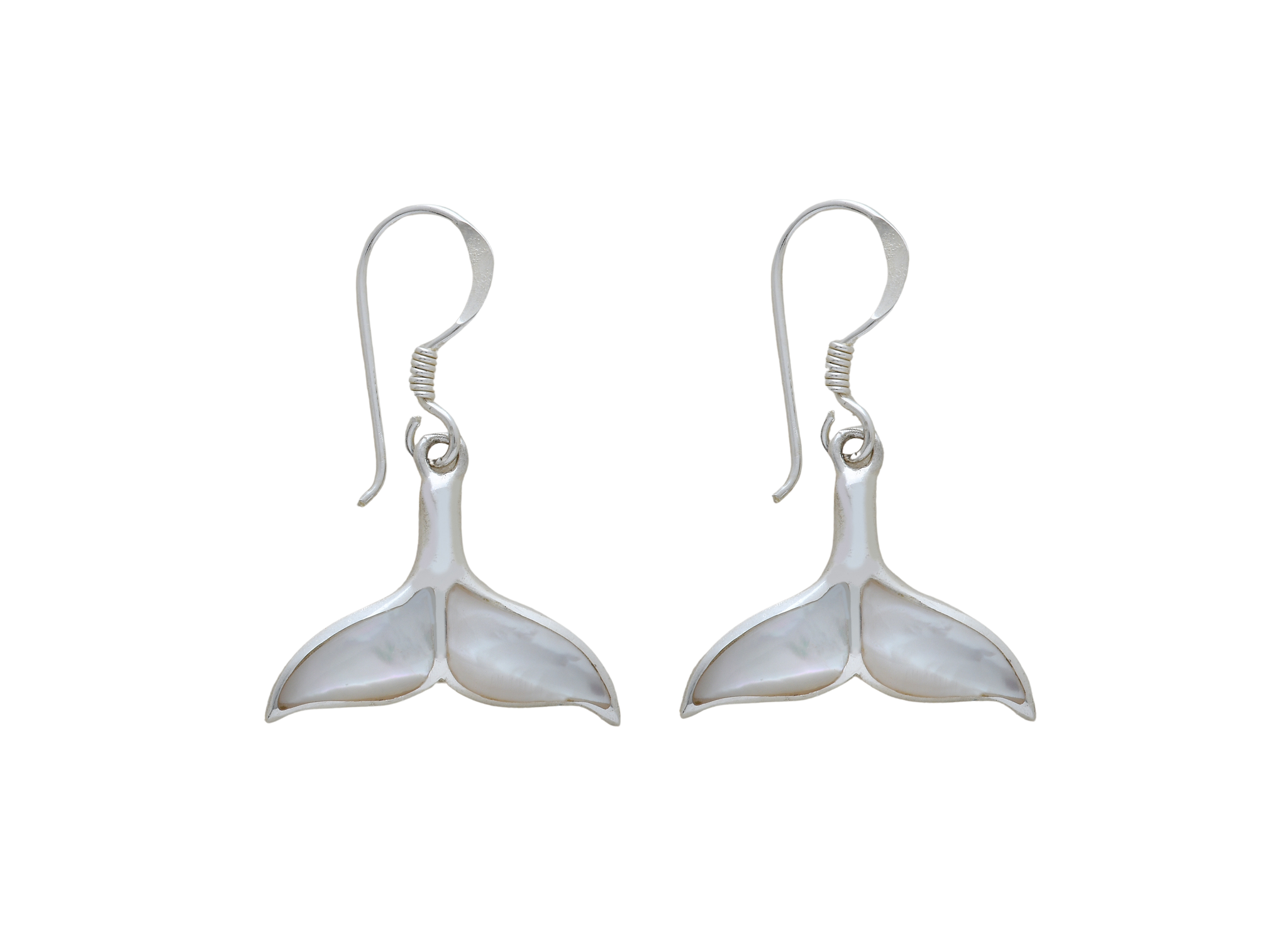 Whale Tail Earrings – LEEBA